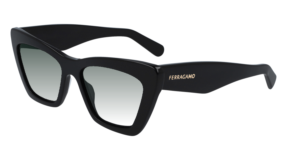 Salvatore Ferragamo SF929SN 001 Salvatore Ferragamo SF929SN 001