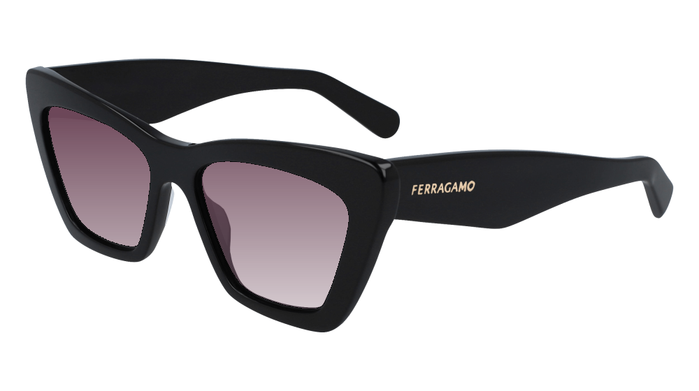 Salvatore Ferragamo SF929SN 001 Salvatore Ferragamo SF929SN 001