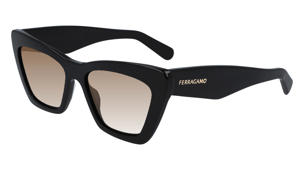 Salvatore Ferragamo SF929SN 001 Salvatore Ferragamo SF929SN 001