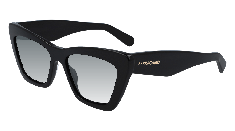 Salvatore Ferragamo SF929SN 001 Salvatore Ferragamo SF929SN 001