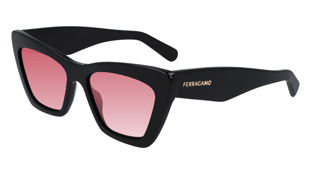 Salvatore Ferragamo SF929SN 001 Salvatore Ferragamo SF929SN 001