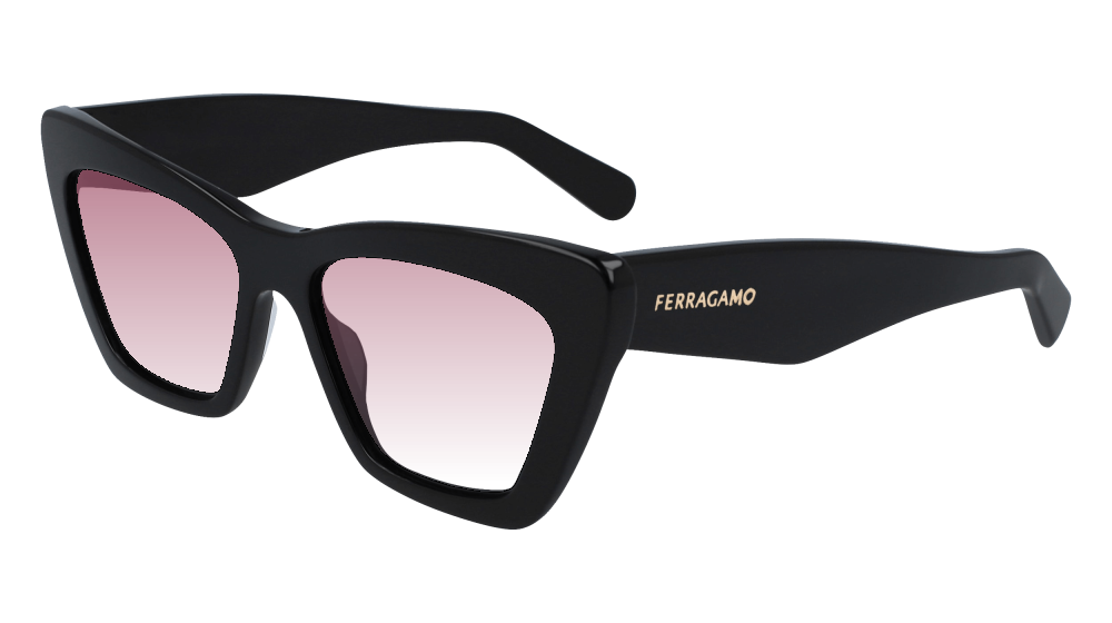 Salvatore Ferragamo SF929SN 001 Salvatore Ferragamo SF929SN 001