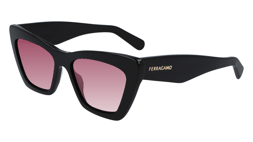 Salvatore Ferragamo SF929SN 001 Salvatore Ferragamo SF929SN 001