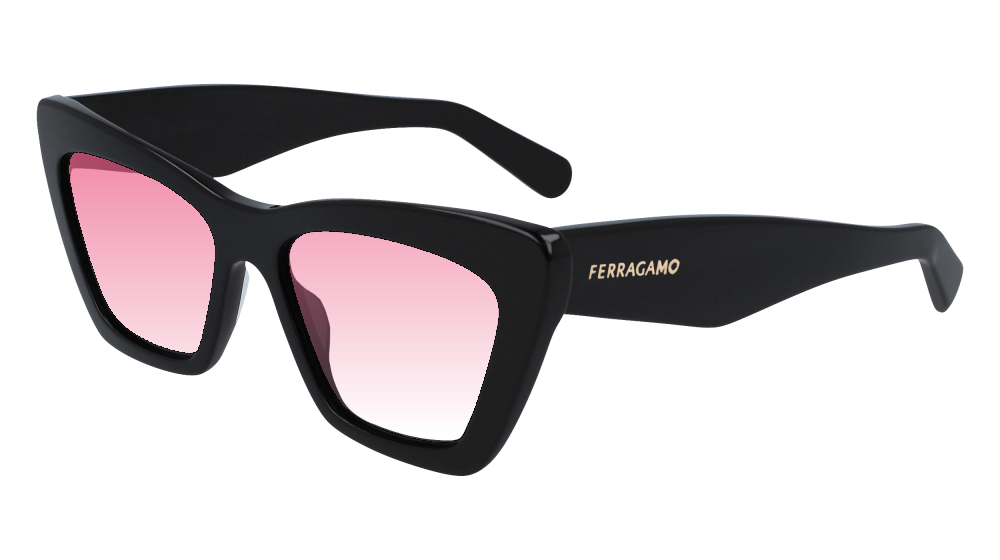 Salvatore Ferragamo SF929SN 001 Salvatore Ferragamo SF929SN 001