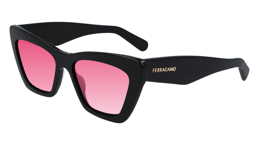 Salvatore Ferragamo SF929SN 001 Salvatore Ferragamo SF929SN 001