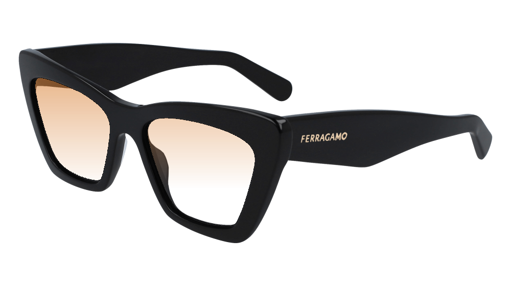 Salvatore Ferragamo SF929SN 001 Salvatore Ferragamo SF929SN 001