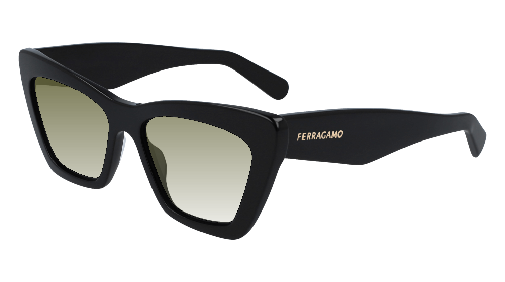 Salvatore Ferragamo SF929SN 001 Salvatore Ferragamo SF929SN 001