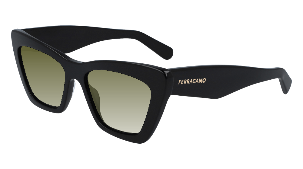 Salvatore Ferragamo SF929SN 001 Salvatore Ferragamo SF929SN 001