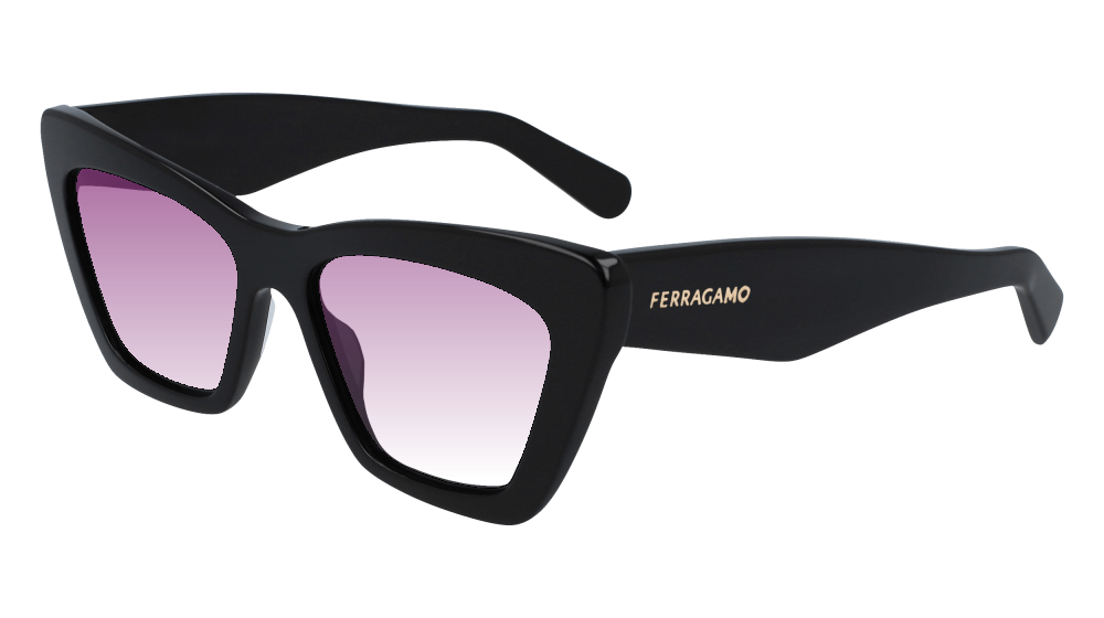 Salvatore Ferragamo SF929SN 001 Salvatore Ferragamo SF929SN 001