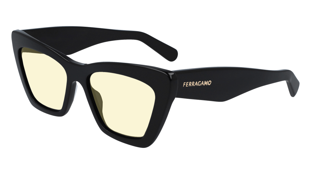 Salvatore Ferragamo SF929SN 001 Salvatore Ferragamo SF929SN 001