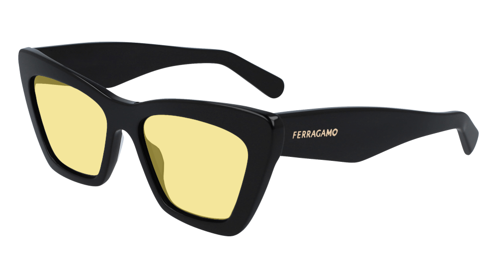 Salvatore Ferragamo SF929SN 001 Salvatore Ferragamo SF929SN 001