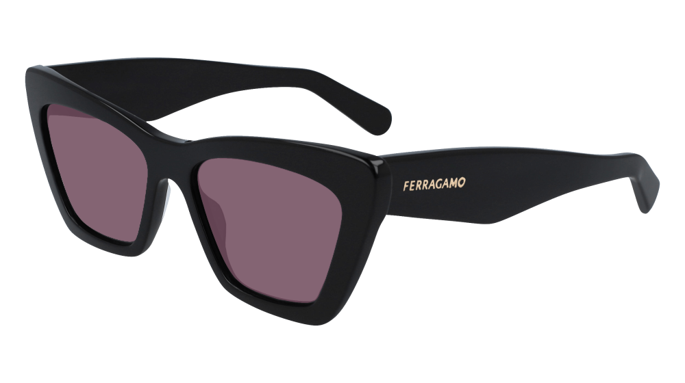 Salvatore Ferragamo SF929SN 001 Salvatore Ferragamo SF929SN 001