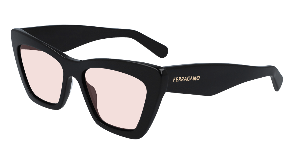 Salvatore Ferragamo SF929SN 001 Salvatore Ferragamo SF929SN 001