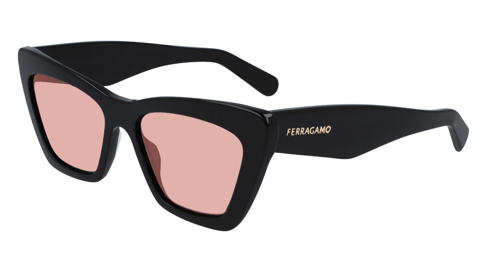 Salvatore Ferragamo SF929SN 001 Salvatore Ferragamo SF929SN 001