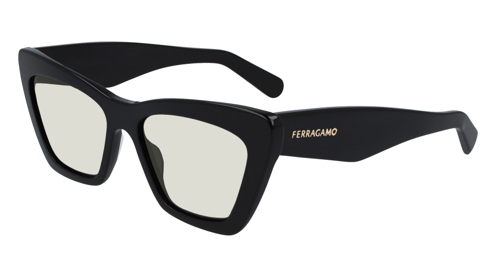 Salvatore Ferragamo SF929SN 001 Salvatore Ferragamo SF929SN 001