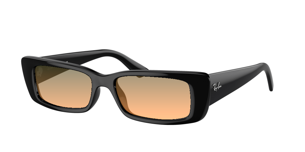 Ray Ban RB4425 667787 Teru Ray Ban RB4425 667787 Teru