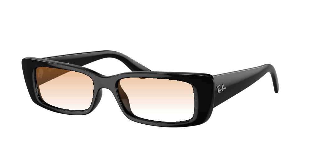 Ray Ban RB4425 667787 Teru Ray Ban RB4425 667787 Teru