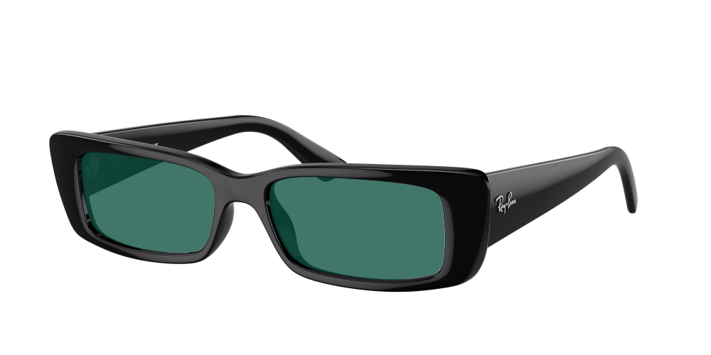 Ray Ban RB4425 667787 Teru Ray Ban RB4425 667787 Teru