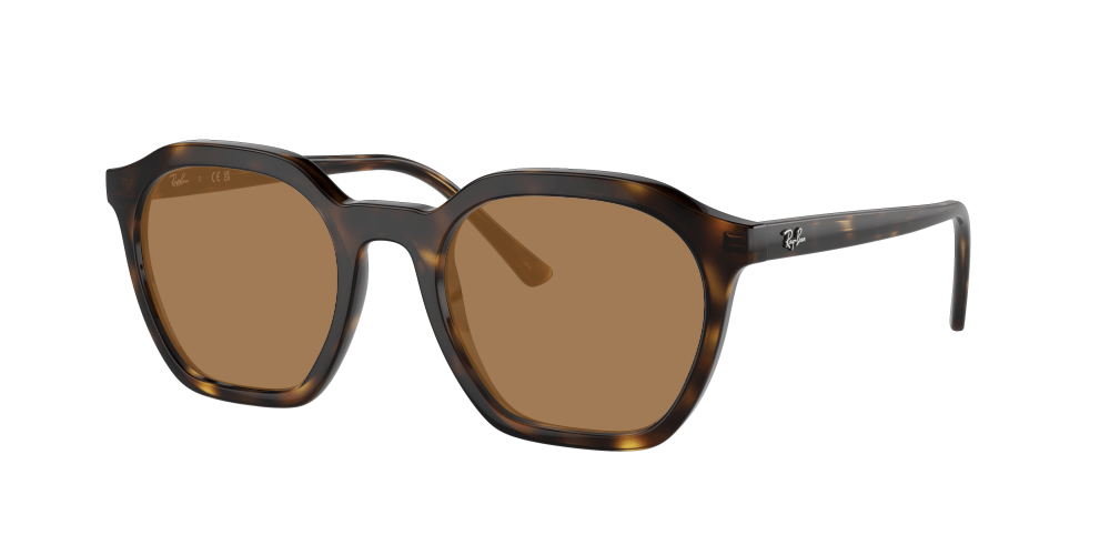Ray Ban RX7238 2012 Alice Ray Ban RX7238 2012 Alice