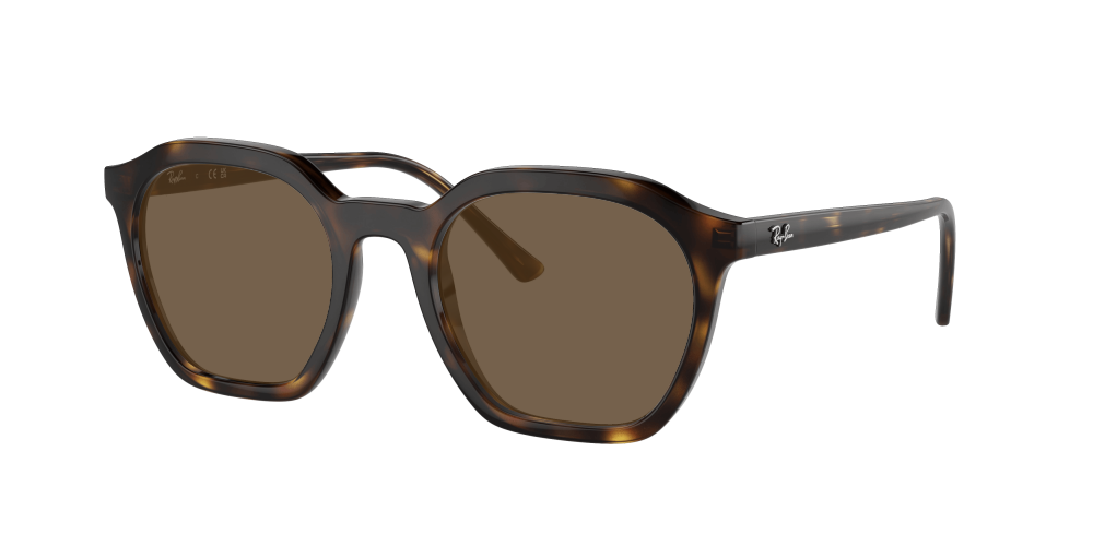 Ray Ban RX7238 2012 Alice Ray Ban RX7238 2012 Alice
