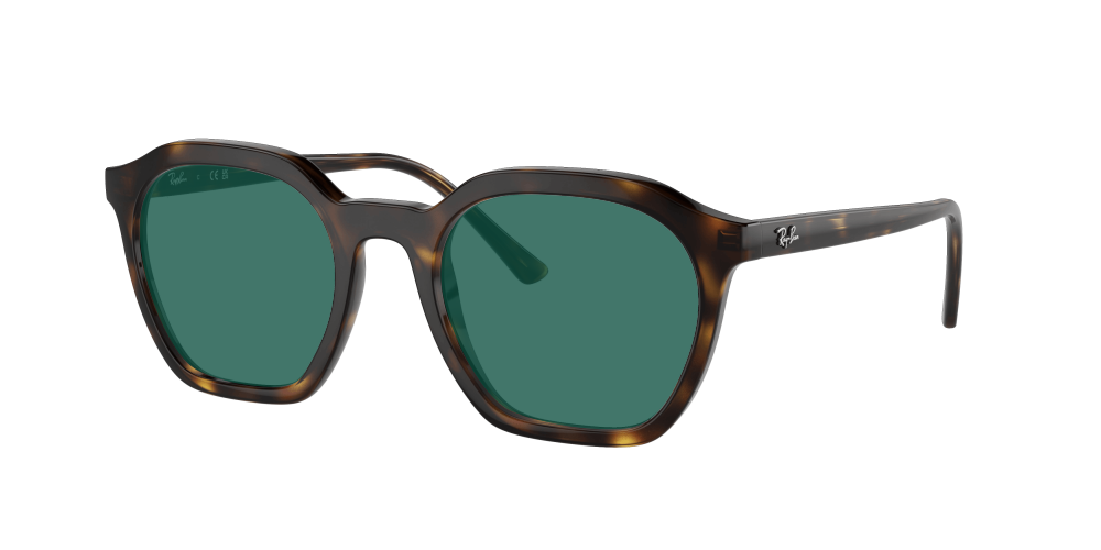 Ray Ban RX7238 2012 Alice Ray Ban RX7238 2012 Alice