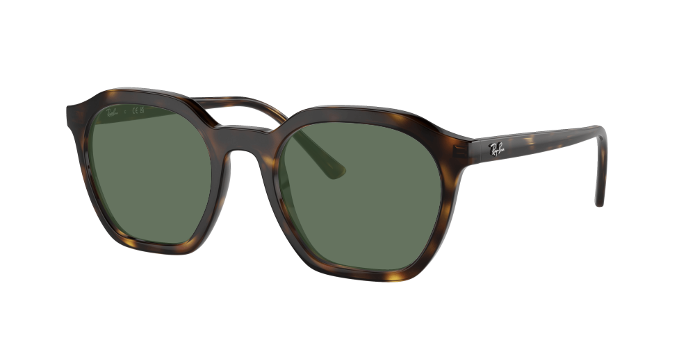 Ray Ban RX7238 2012 Alice Ray Ban RX7238 2012 Alice
