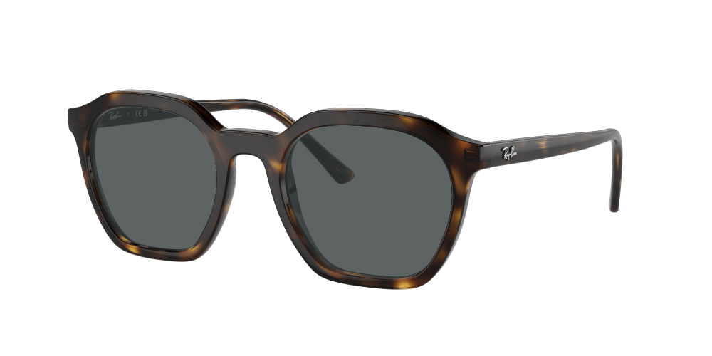 Ray Ban RX7238 2012 Alice Ray Ban RX7238 2012 Alice