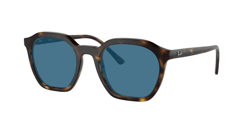 Ray Ban RX7238 2012 Alice Ray Ban RX7238 2012 Alice