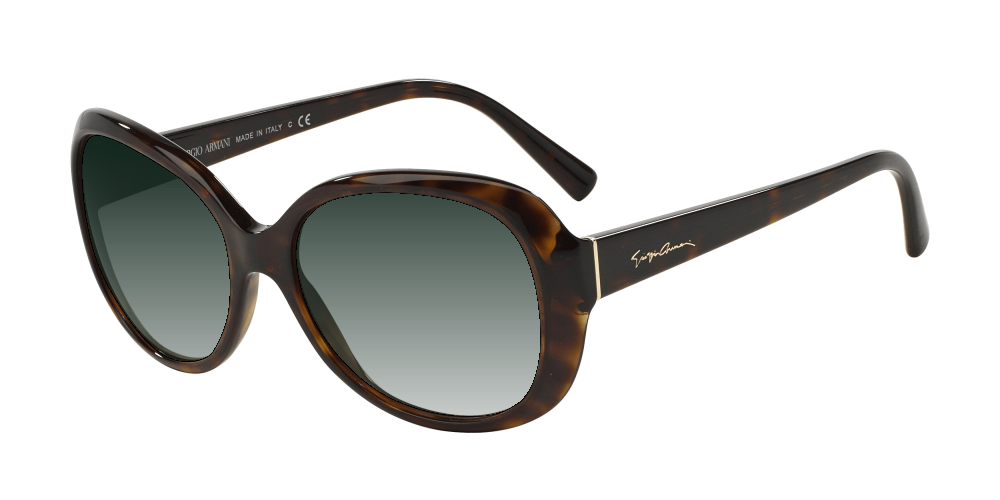Giorgio Armani AR8047 502613 Giorgio Armani AR8047 502613