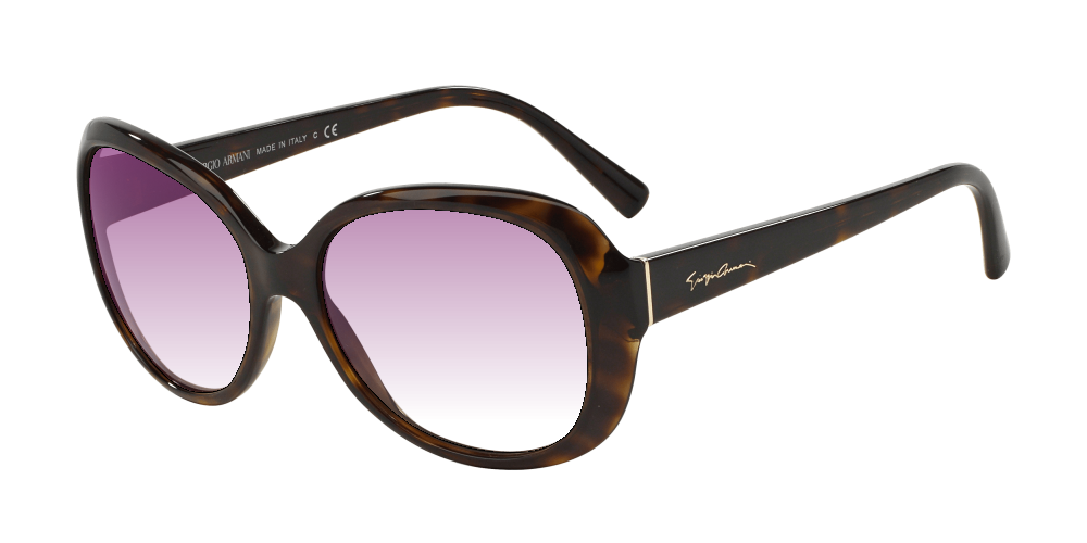 Giorgio Armani AR8047 502613 Giorgio Armani AR8047 502613