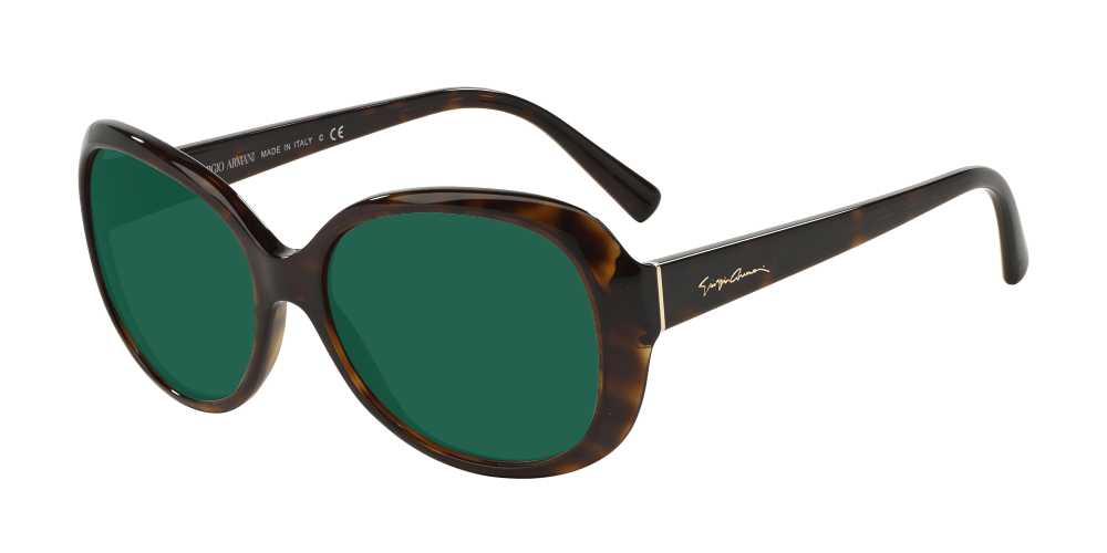 Giorgio Armani AR8047 502613 Giorgio Armani AR8047 502613