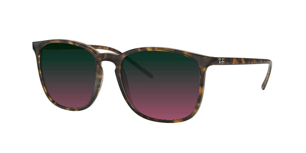 Ray Ban RB4387 710/73 Ray Ban RB4387 710/73