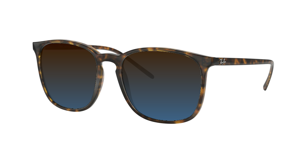 Ray Ban RB4387 710/73 Ray Ban RB4387 710/73
