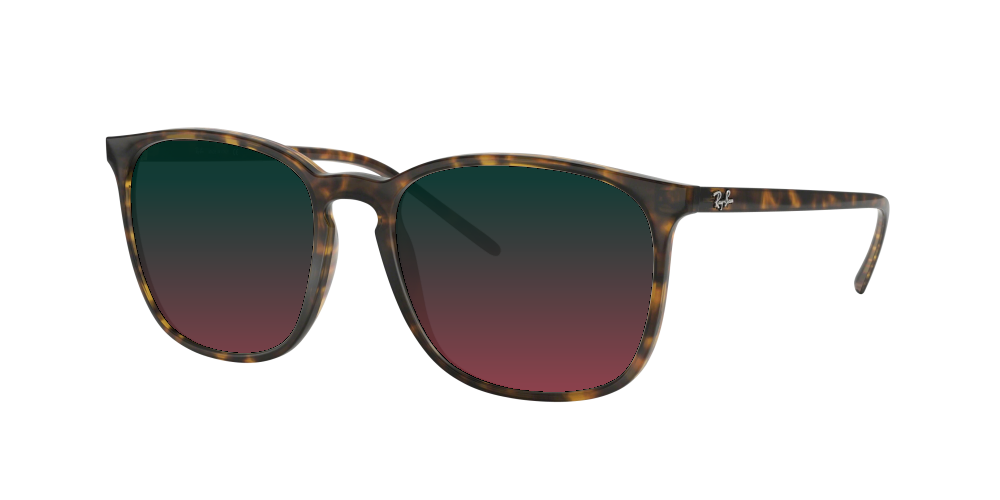 Ray Ban RB4387 710/73 Ray Ban RB4387 710/73