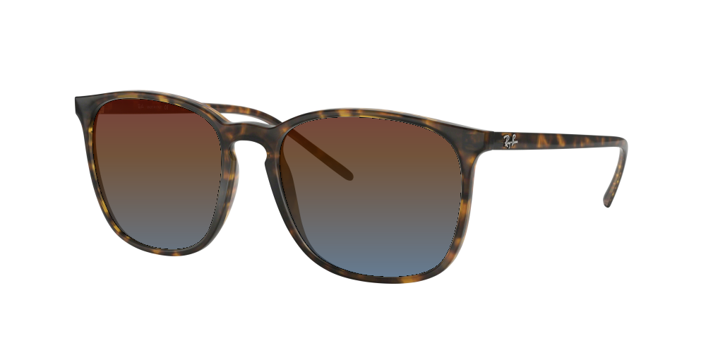 Ray Ban RB4387 710/73 Ray Ban RB4387 710/73