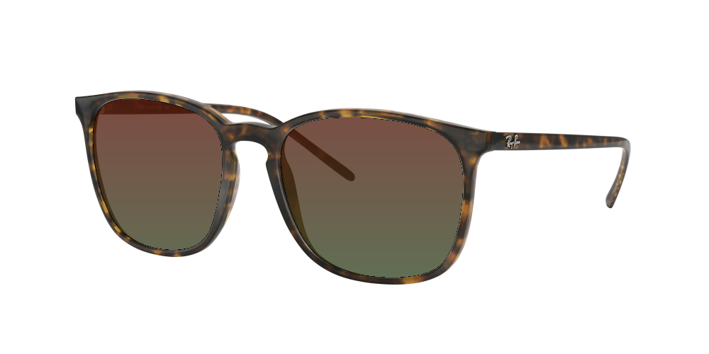 Ray Ban RB4387 710/73 Ray Ban RB4387 710/73