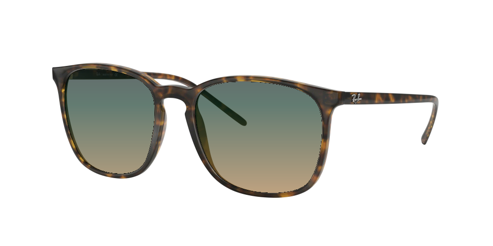 Ray Ban RB4387 710/73 Ray Ban RB4387 710/73