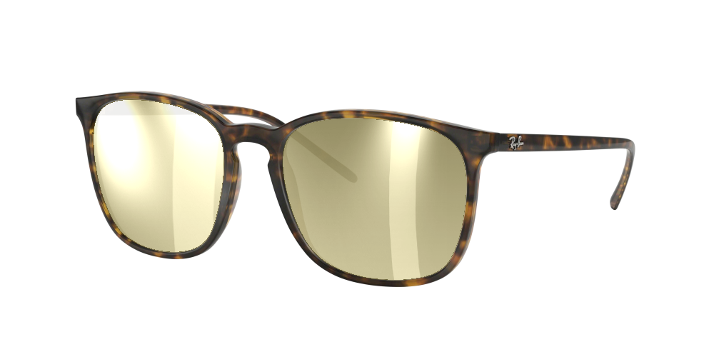 Ray Ban RB4387 710/73 Ray Ban RB4387 710/73