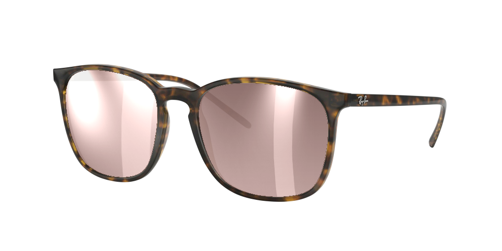 Ray Ban RB4387 710/73 Ray Ban RB4387 710/73