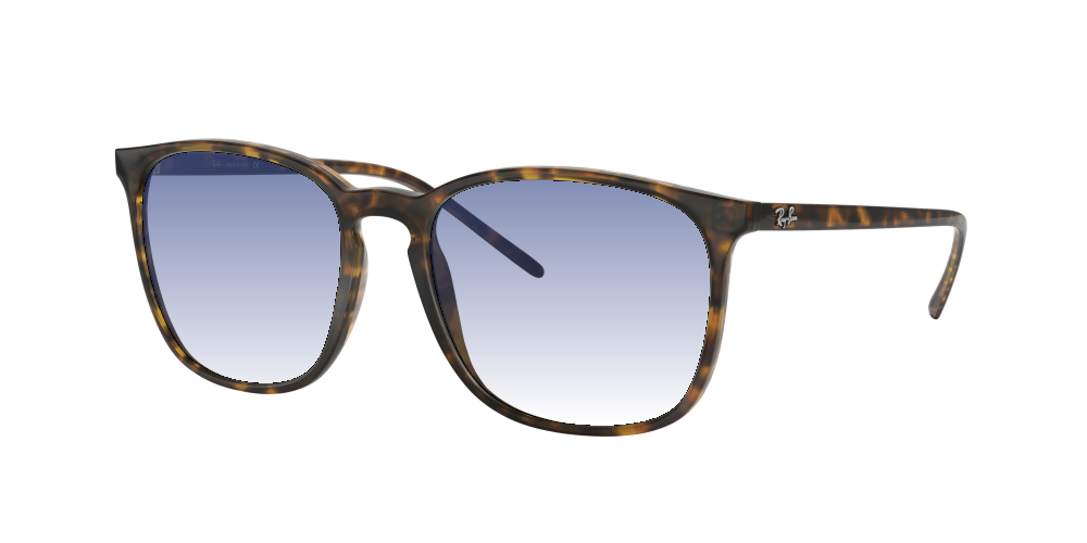 Ray Ban RB4387 710/73 Ray Ban RB4387 710/73