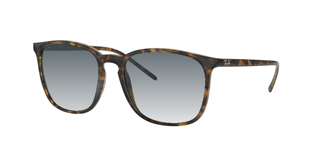 Ray Ban RB4387 710/73 Ray Ban RB4387 710/73