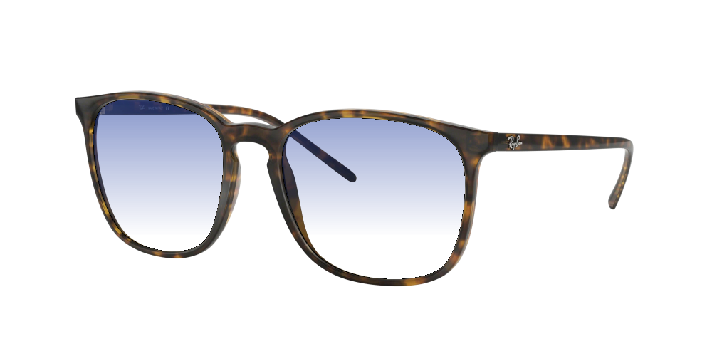 Ray Ban RB4387 710/73 Ray Ban RB4387 710/73