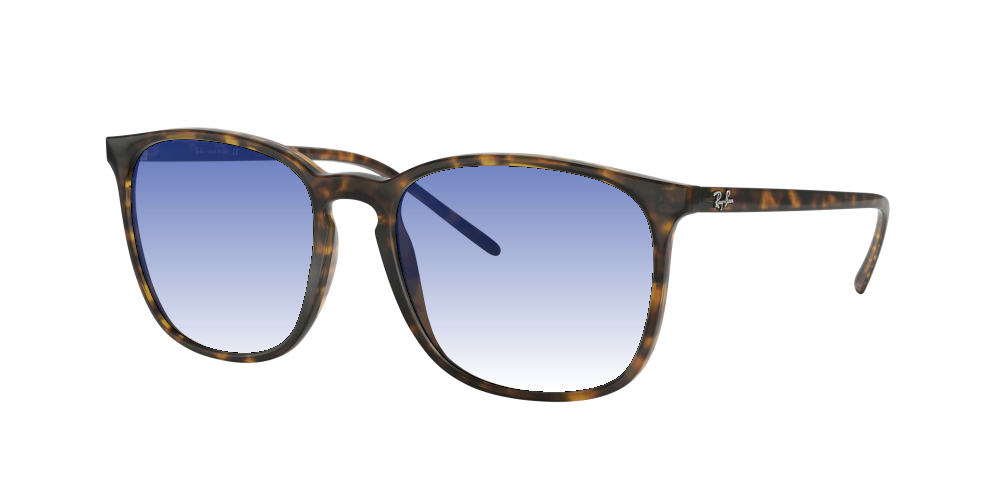 Ray Ban RB4387 710/73 Ray Ban RB4387 710/73