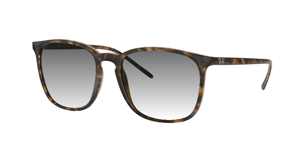 Ray Ban RB4387 710/73 Ray Ban RB4387 710/73