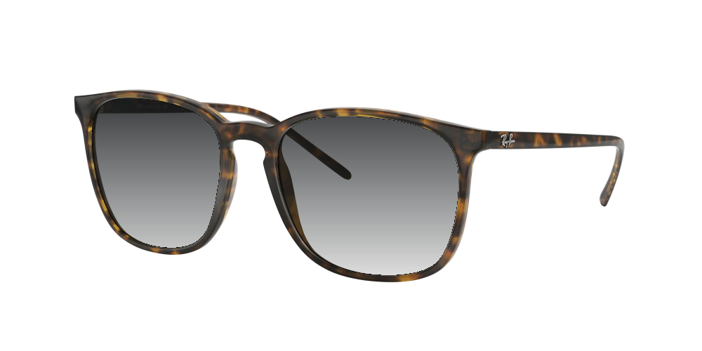 Ray Ban RB4387 710/73 Ray Ban RB4387 710/73