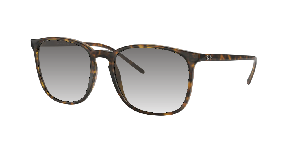Ray Ban RB4387 710/73 Ray Ban RB4387 710/73