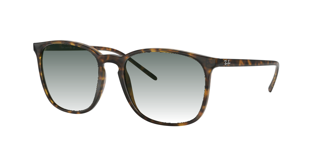 Ray Ban RB4387 710/73 Ray Ban RB4387 710/73