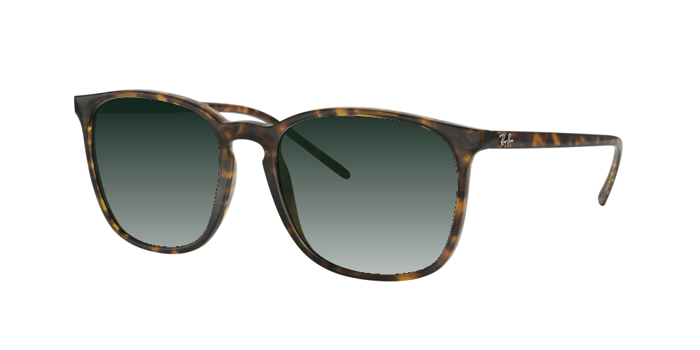 Ray Ban RB4387 710/73 Ray Ban RB4387 710/73