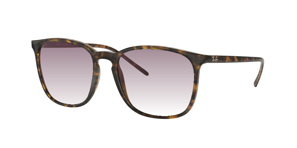 Ray Ban RB4387 710/73 Ray Ban RB4387 710/73