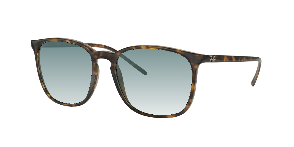 Ray Ban RB4387 710/73 Ray Ban RB4387 710/73